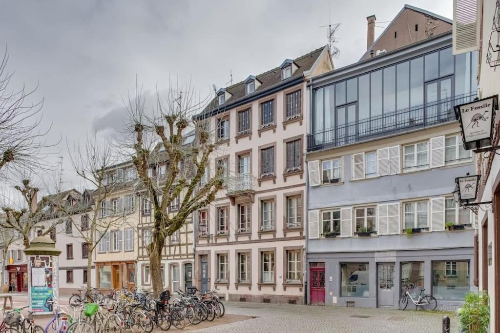 Le Loft Des Lumieres - Superbe Loft Lumineux Au Coeur De La Krutenau Daire Strazburg Dış mekan fotoğraf